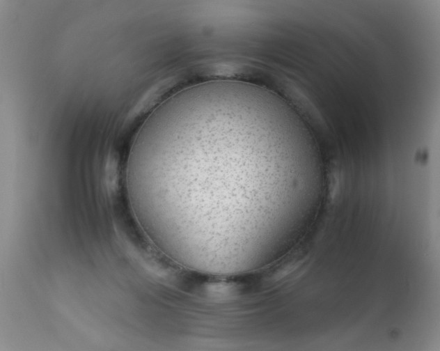 X0000110950216200907022205