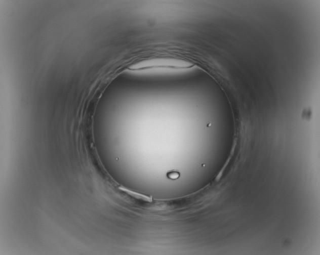 X0000110950217200907022205