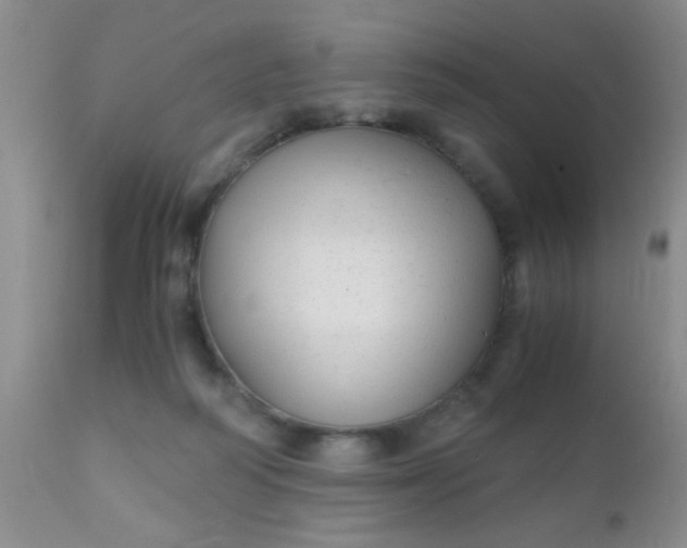 X0000110950218200907022205