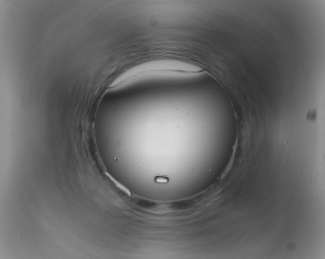 X0000110950219200907022205