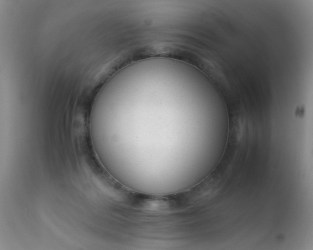 X0000110950220200907022205