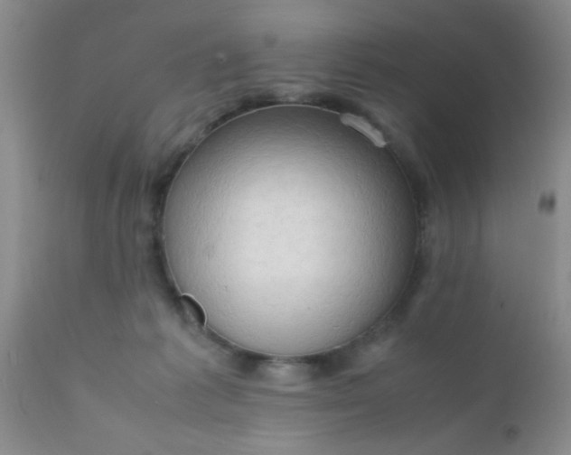 X0000110950221200907022205