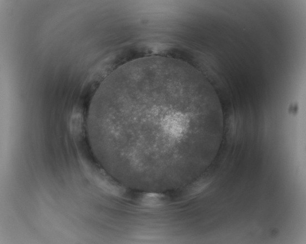 X0000110950222200907022205