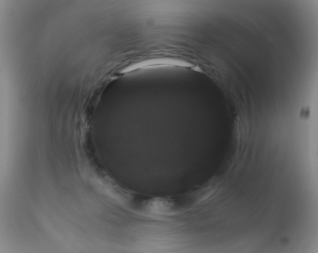 X0000110950223200907022205