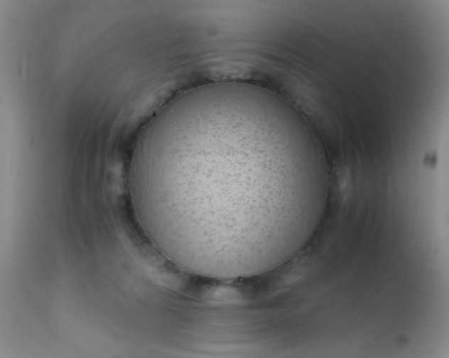 X0000110950224200907022205