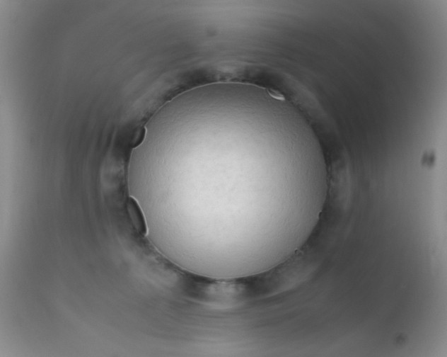 X0000110950225200907022205