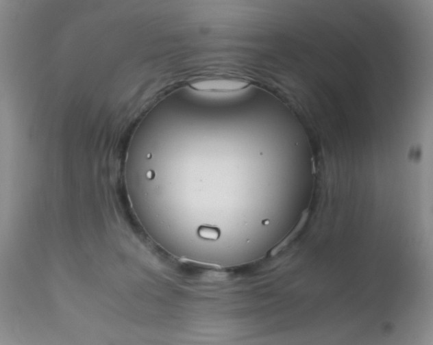 X0000110950227200907022205