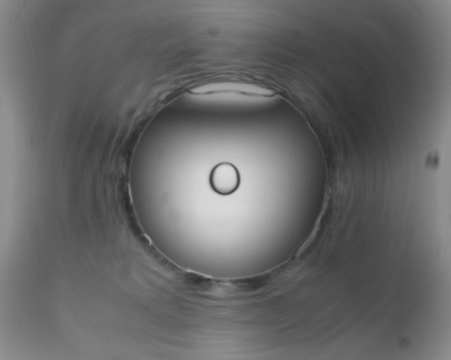 X0000110950229200907022205