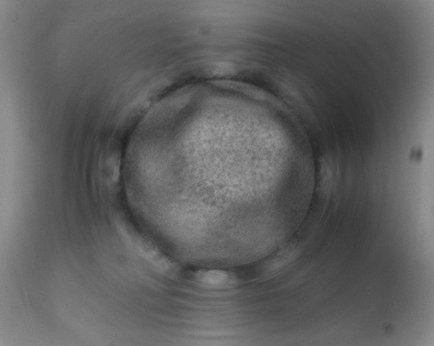 X0000110950230200907022205