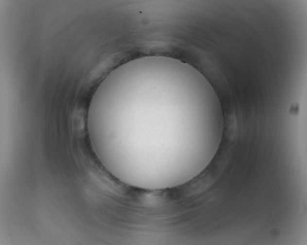 X0000110950232200907022205