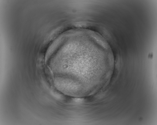 X0000110950233200907022204