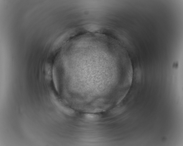 X0000110950234200907022204