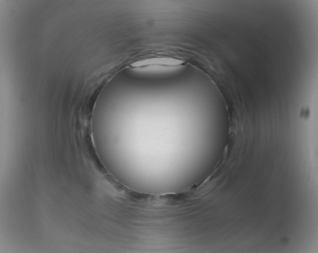 X0000110950235200907022204