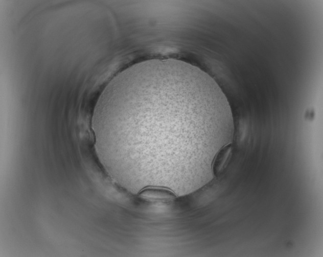 X0000110950236200907022204