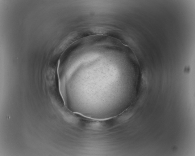 X0000110950237200907022204