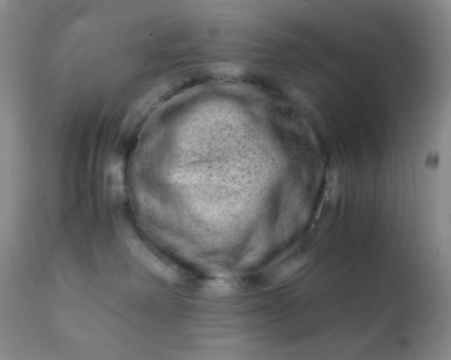 X0000110950238200907022204