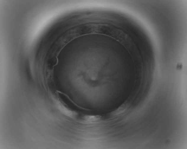 X0000110950239200907022204