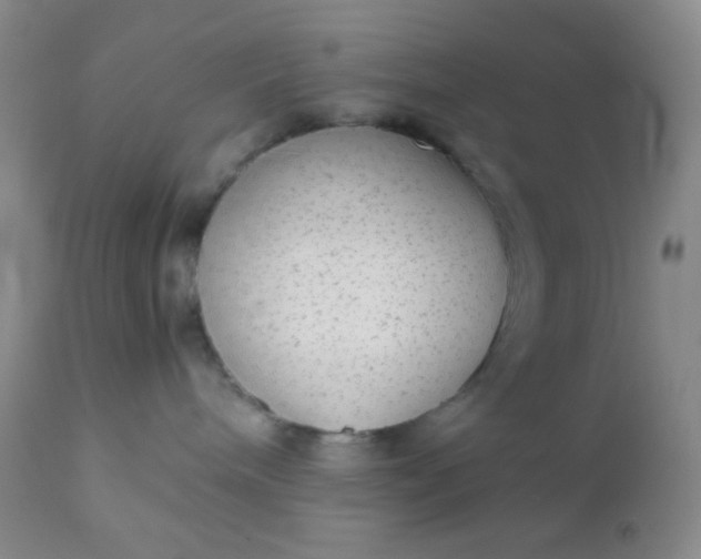 X0000110950240200907022204