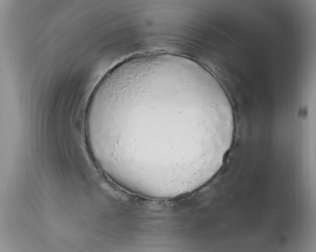 X0000110950241200907022204