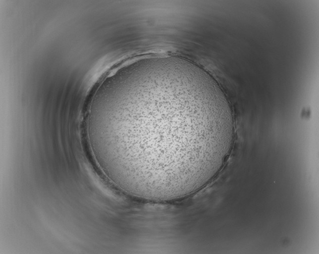 X0000110950242200907022204