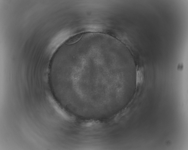 X0000110950243200907022204