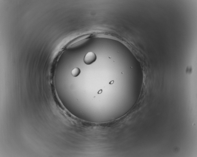 X0000110950244200907022204