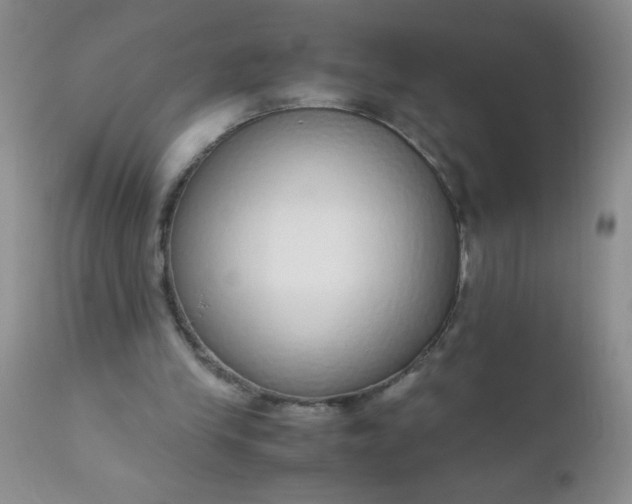 X0000110950245200907022204