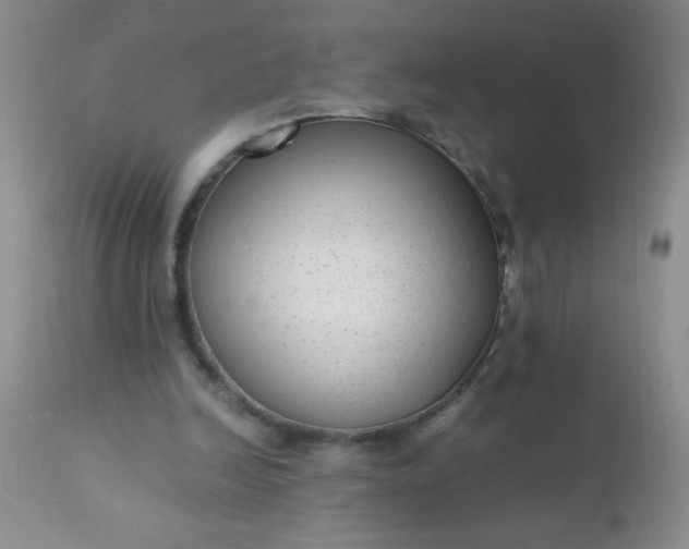 X0000110950246200907022204