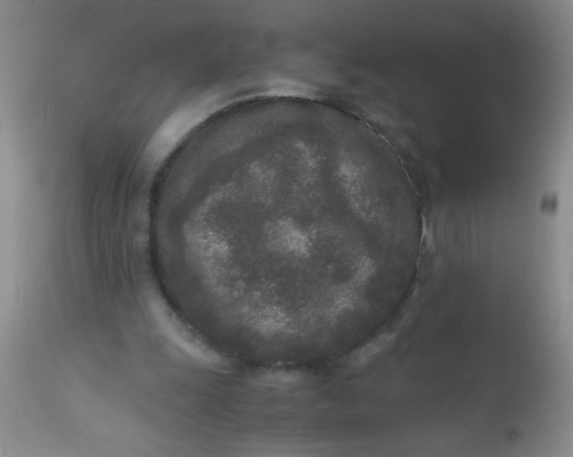 X0000110950247200907022204