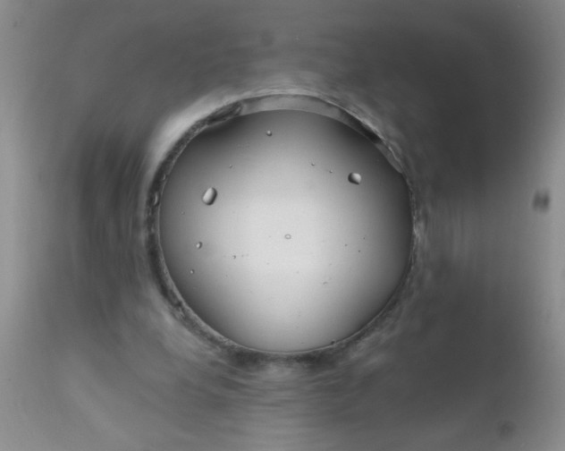 X0000110950248200907022204