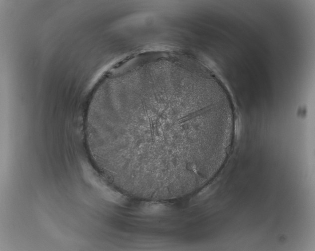 X0000110950249200907022204