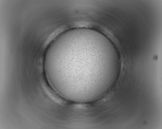 X0000110950250200907022204