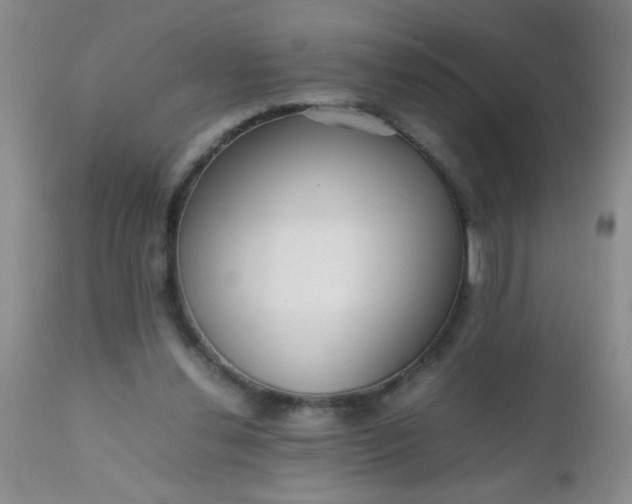 X0000110950252200907022204