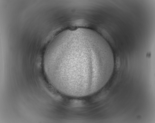 X0000110950255200907022204