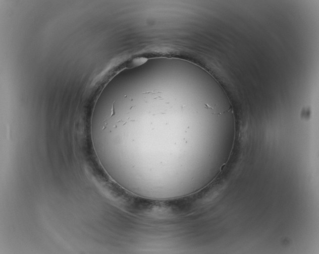 X0000110950256200907022204