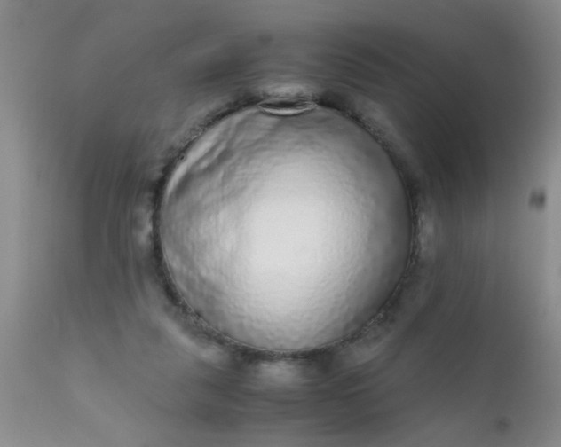 X0000110950259200907022204