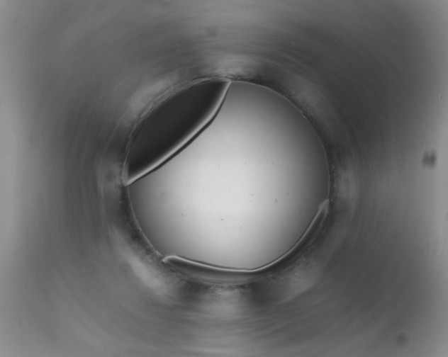 X0000110950260200907022204