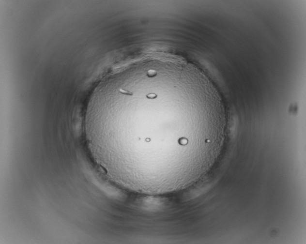 X0000110950261200907022204