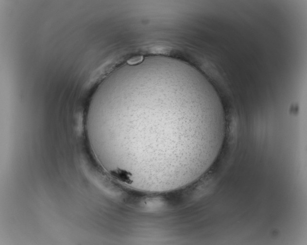 X0000110950262200907022204