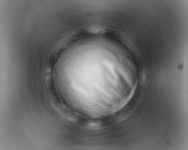 X0000110950263200907022204