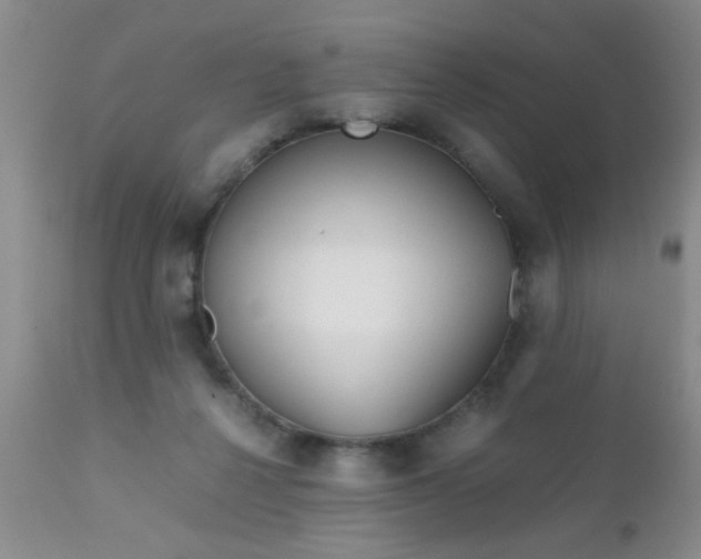 X0000110950264200907022204