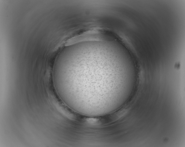 X0000110950265200907022204