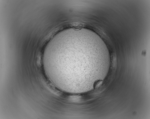 X0000110950266200907022204