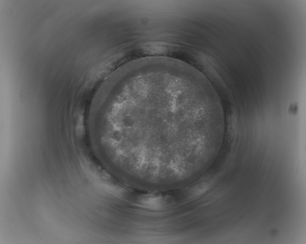 X0000110950267200907022204