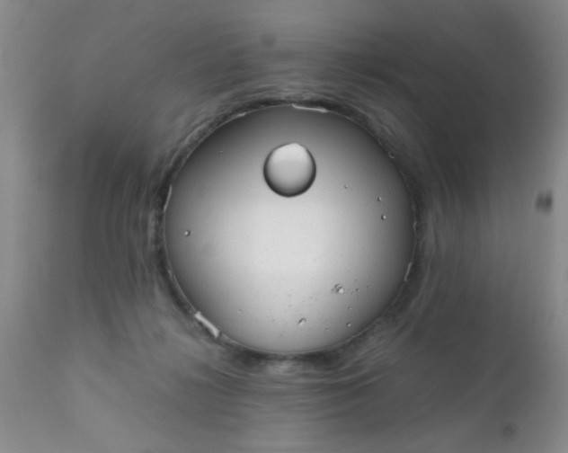 X0000110950268200907022204