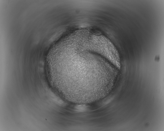 X0000110950269200907022204