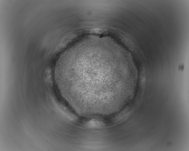 X0000110950270200907022204