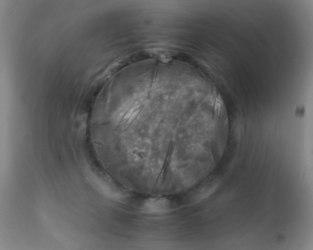 X0000110950271200907022204