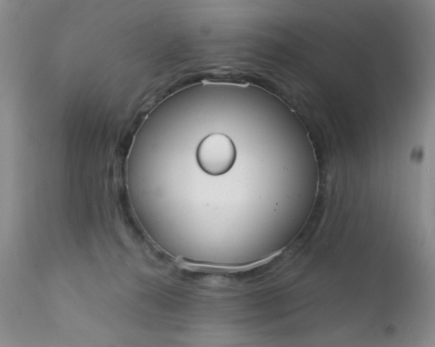 X0000110950272200907022204