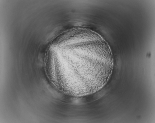 X0000110950273200907022204